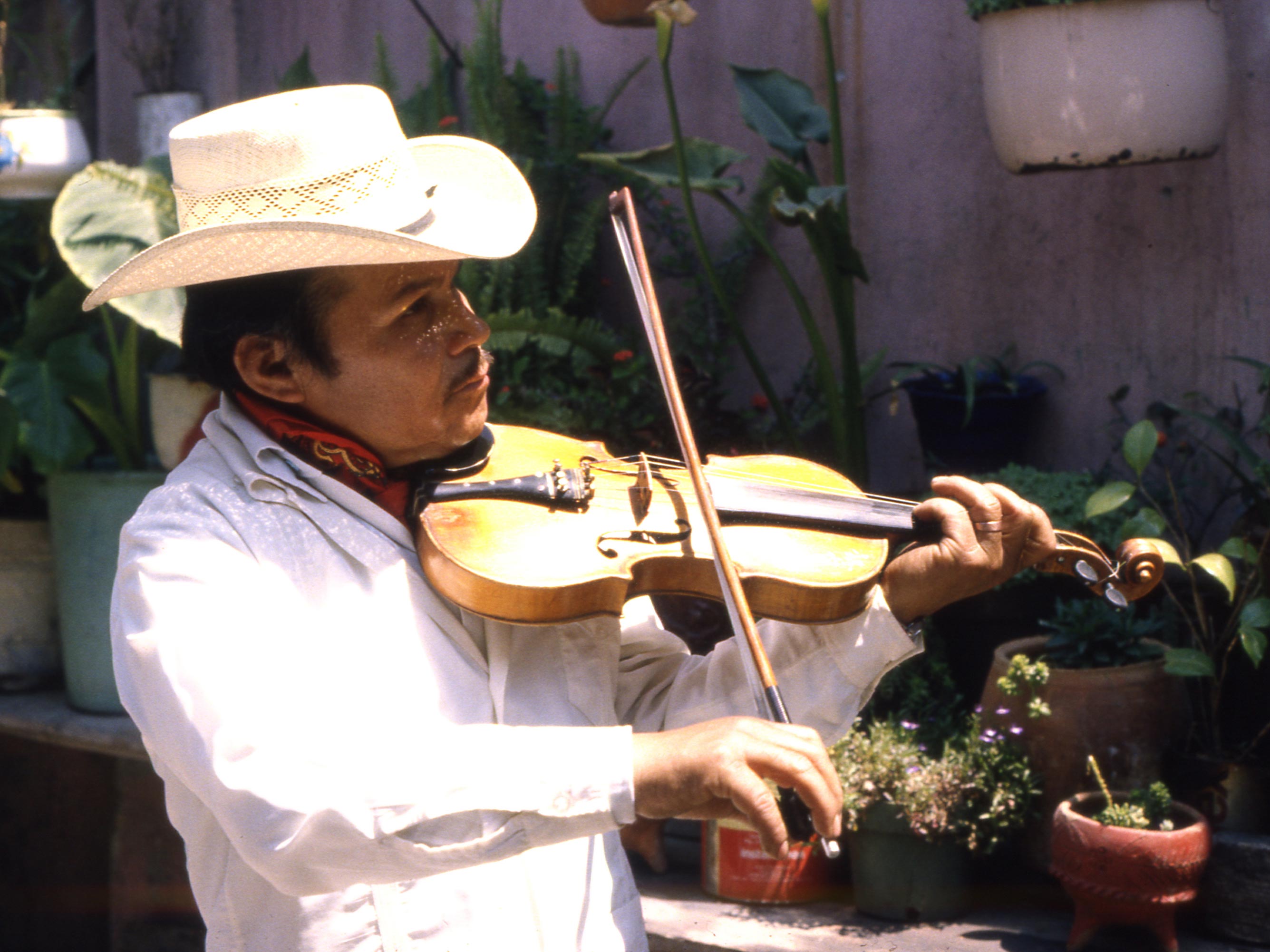 José Alvarado Lucas, violinista, Trío Las Tres Huastecas