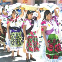 Pueblo indígena: Purépecha