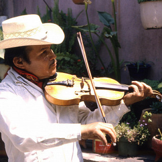 José Alvarado Lucas, violinista, Trío Las Tres Huastecas